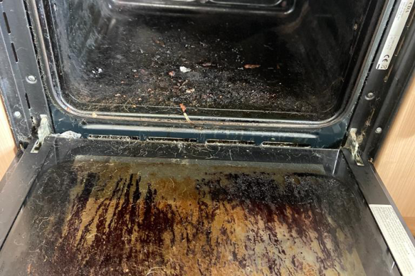 oven_clean_1